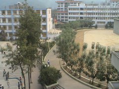 ���ǽ���ʵ�ص����˱�������ĳСѧ����������ĳʵ��ѧУ